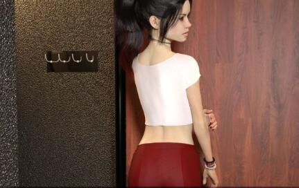 中年危机(Mid Life Crisis) V1.5 精翻中文汉化版 PC+安卓+全CG-次元小屋