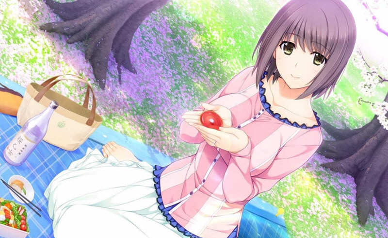 图片[2]-新妻LOVELY×CATION 精翻汉化版+全CG存档 大型ADV游戏-次元小屋