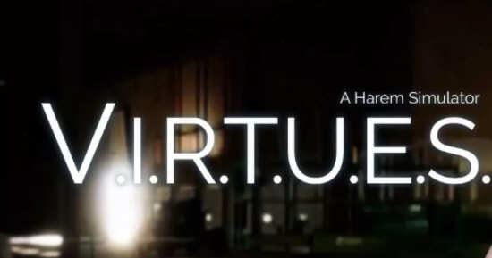 美de Ver14.5 精翻汉化版（画廊全开+奖励章节）PC+安卓 6.2G-次元小屋