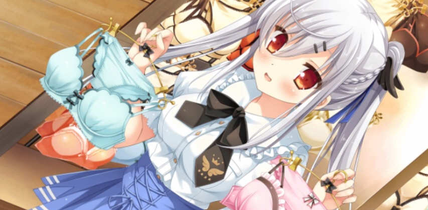 新娘太好找了我很方 中文汉化版 ADV游戏+存档+特典 3.8G-次元小屋