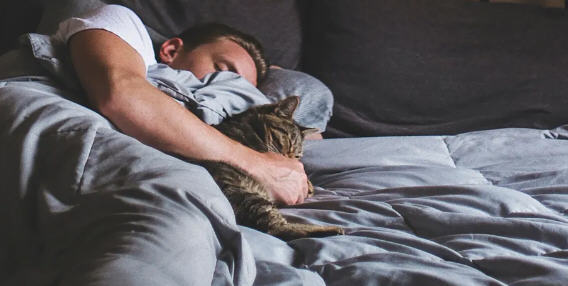 灵丹妙药(Elixir of Life) ver0.11 浏览器汉化版 HTML游戏 1.5G-次元小屋