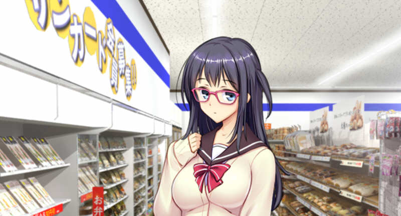 少女便利店Z:全店铺统合版 AI精翻汉化版+全DLC 模拟经营游戏 3G-次元小屋